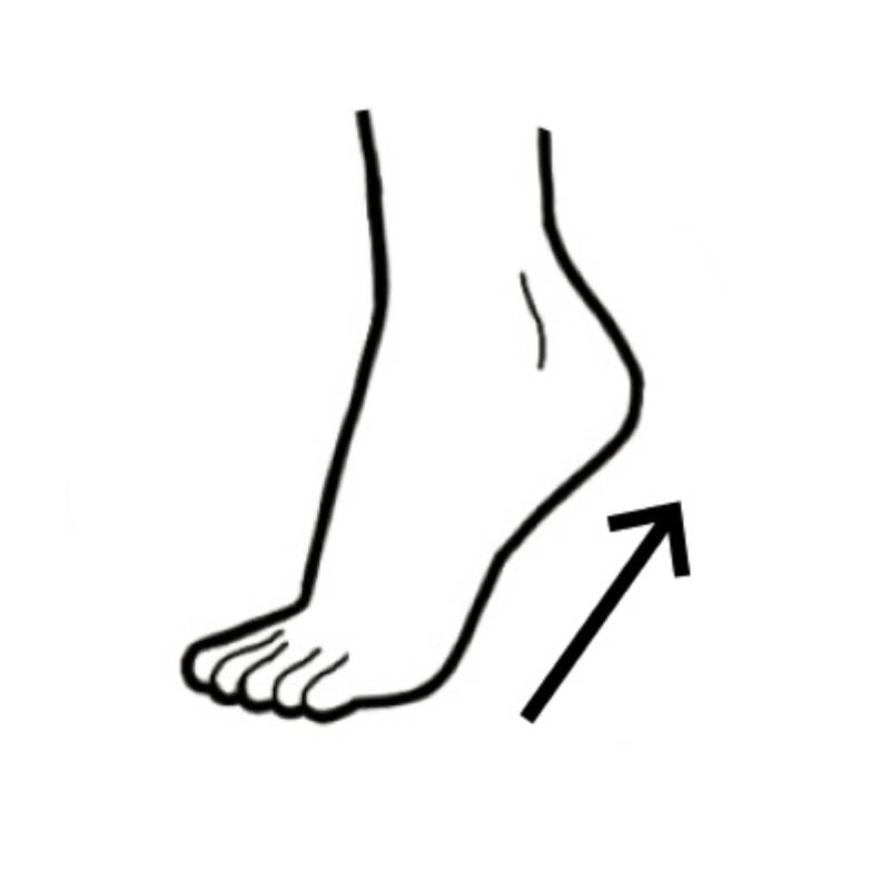 かかとを上げる