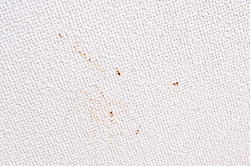 【before】壁紙の汚れ