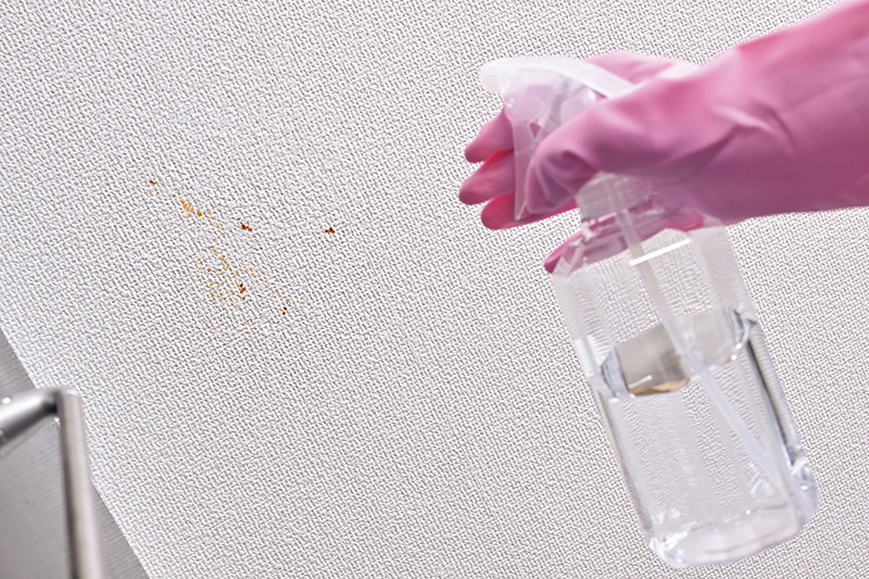 汚れが気になる部分に霧吹きで水をスプレーして、軽く濡らす