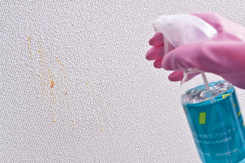 アルカリ電解水をスプレーする。汚れがアッという間に溶け出し、流れ落ちる