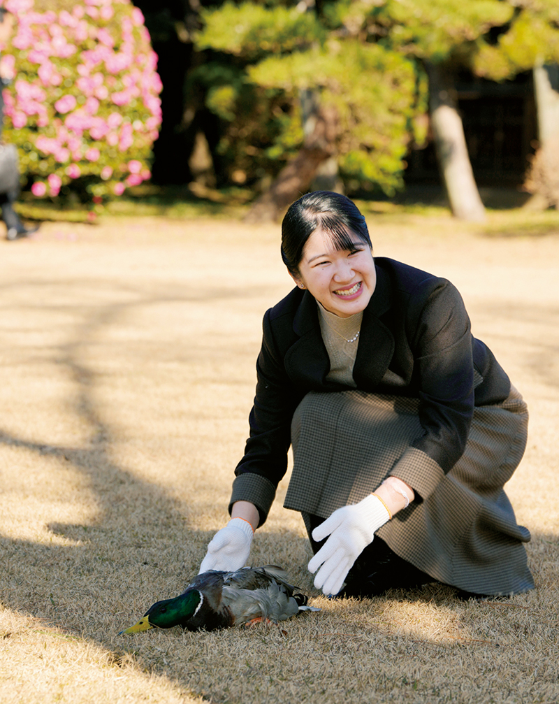 鴨がまさかの…ハプニング（撮影／JMPA）