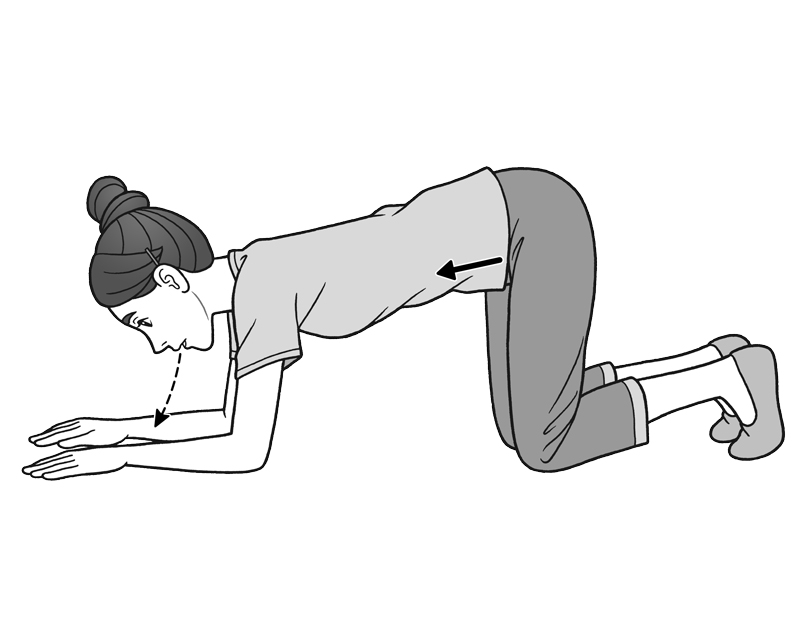 四つんばいのトレーニング（イラスト／勝山英幸）