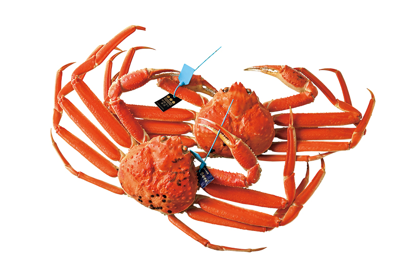 中島ストアー「加能ガニ（ボイル）」