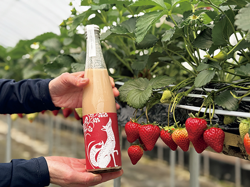 いちご農家『苺屋はな』のいちごを使用。ハッピー太郎醸造所「something happy 苺屋はな」（1本480ml/2970円）