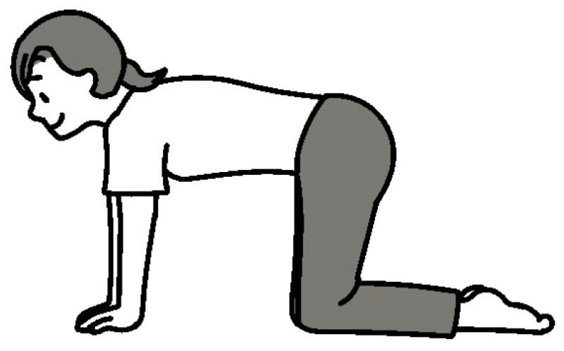 ひざを90度曲げて四つん這いに（イラスト／藤井昌子）