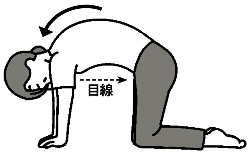 息を吐きながらゆっくり背中を丸める（イラスト／藤井昌子）