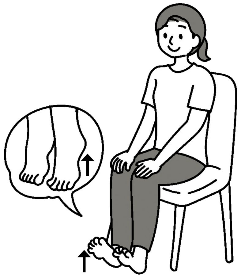 冷え・むくみ対策「かかと上げ下げ体操」（イラスト／藤井昌子）