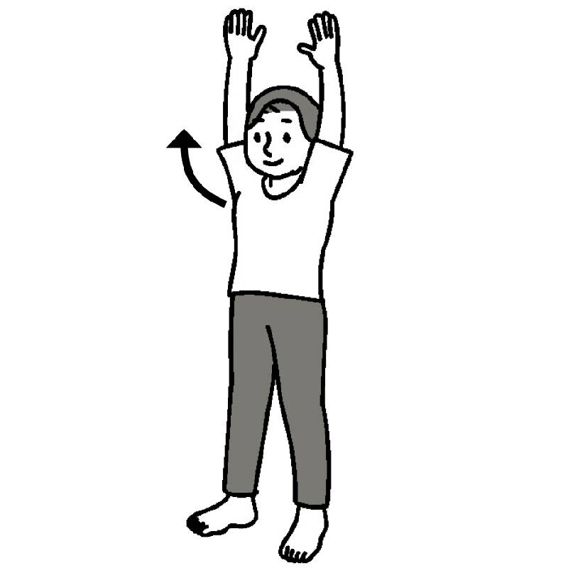 バンザイのポーズで体を伸ばす（イラスト／藤井昌子）