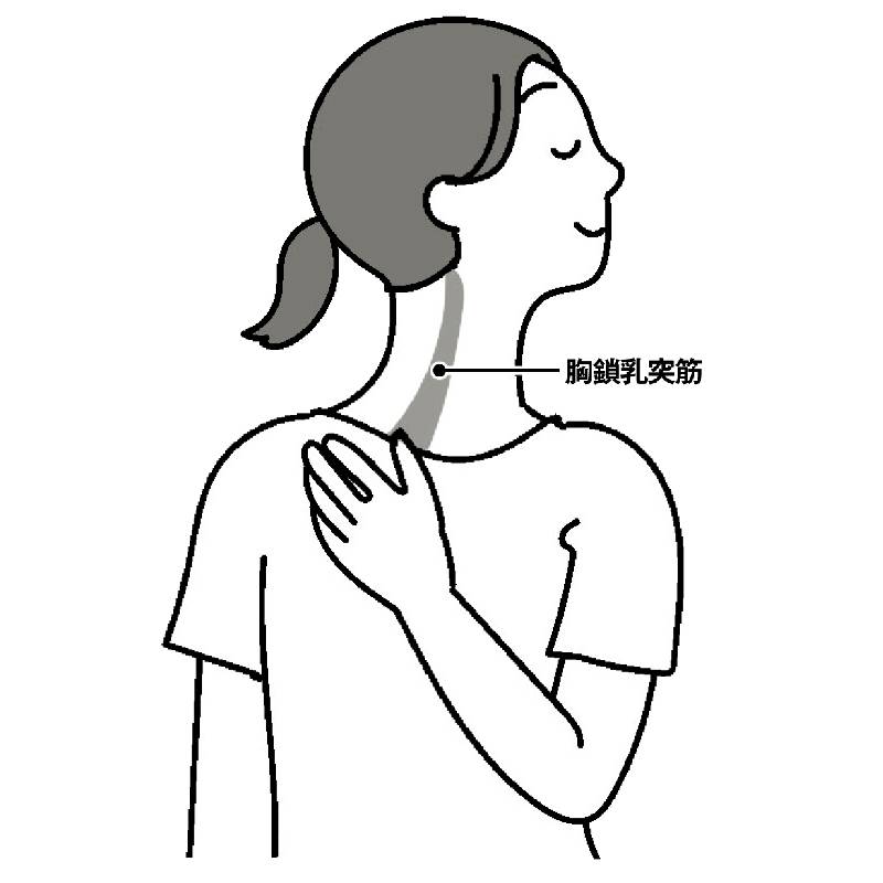 頭痛改善「血流解放ストレッチ」（イラスト／藤井昌子）