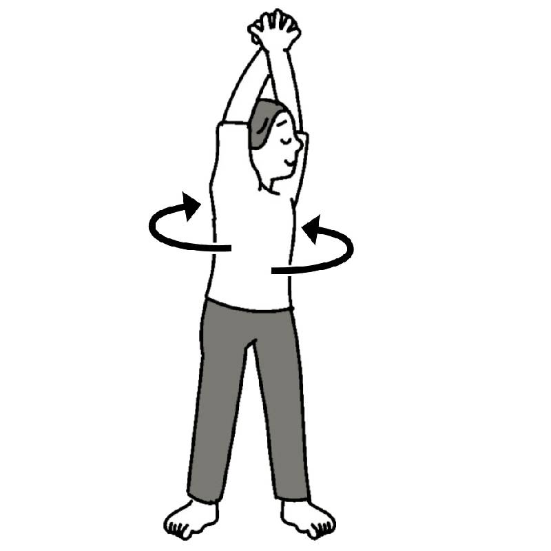 背中を伸ばしてお腹をひねる（イラスト／藤井昌子）