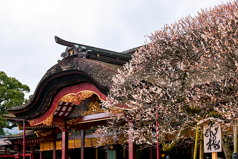 太宰府天満宮（写真／アフロ）
