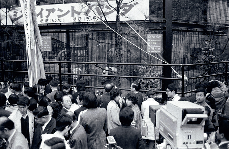 1972年に初公開され、大フィーバー（写真／アフロ）