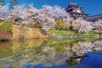 《大河ドラマで注目》豊臣秀長が晩年を過ごした奈良「金魚の街」の見どころ・グルメを紹介