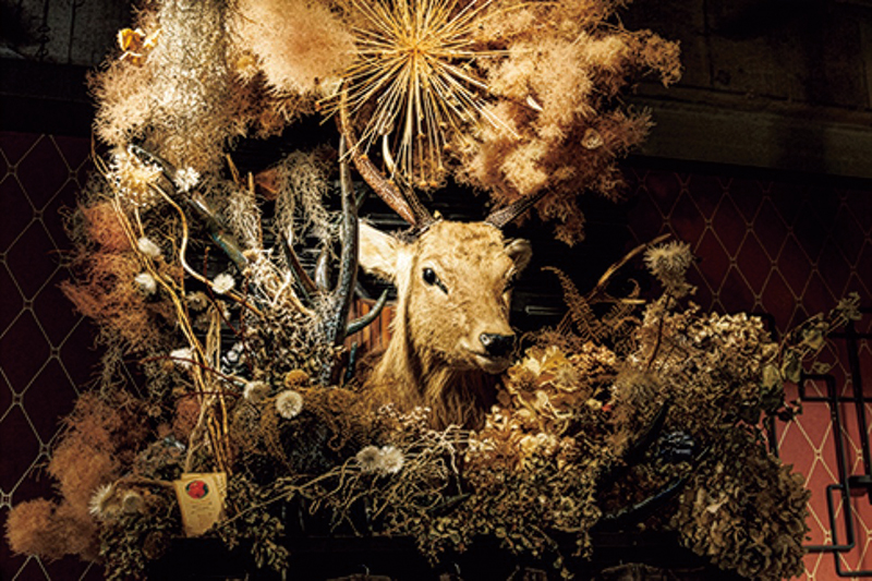 鹿や熊のはくせい、小動物の毛皮が飾られた店内は森の中にいるよう