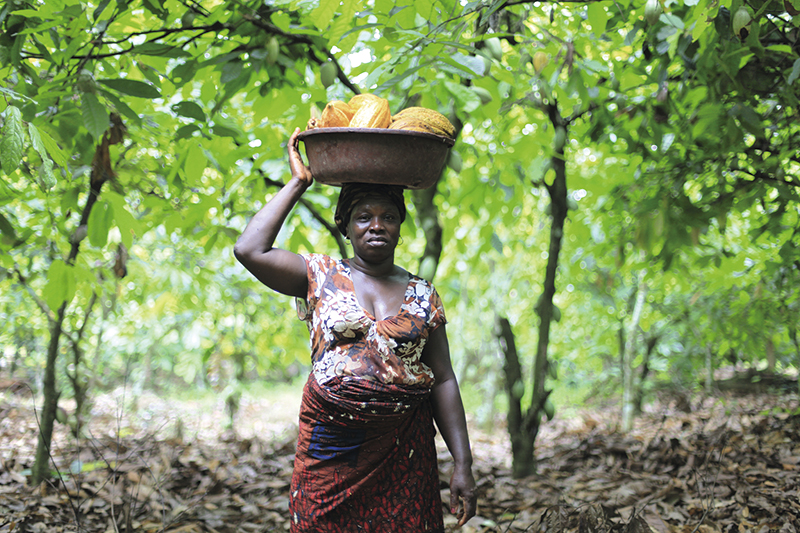 生産者の収入や生活水準の向上をサポート