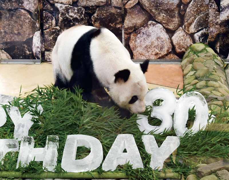 永明（写真／共同通信社）