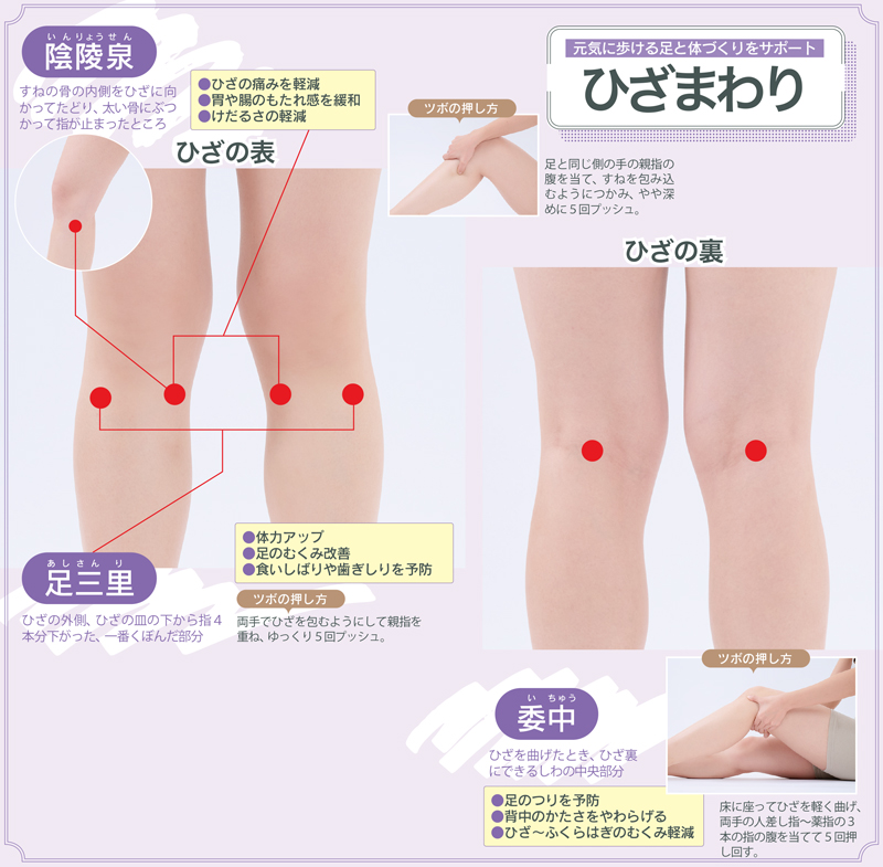 元気に歩ける足と体づくりにつながるひざまわりのツボを紹介