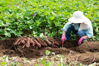 《実録事件簿》“よそ者”“労働力”としての扱いに耐えかね、義父母と夫を手斧で襲い逃亡…警察の4日…