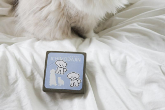 粘着テープでもダメだった「ペットの抜け毛」が面白いほど取れる！神グッズ「一毛打尽」を使って…