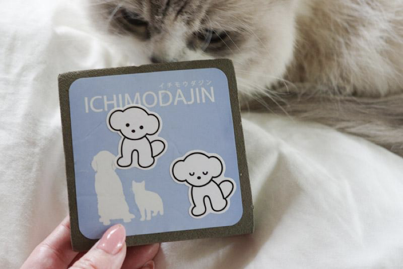 筆者は表面に好きなステッカーを貼って愛用しています。