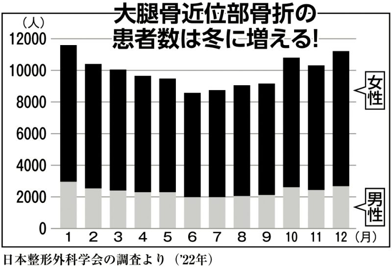 大腿骨近位部骨折の患者数は冬に増える！　日本整形外科学会の調査より（2022年）
