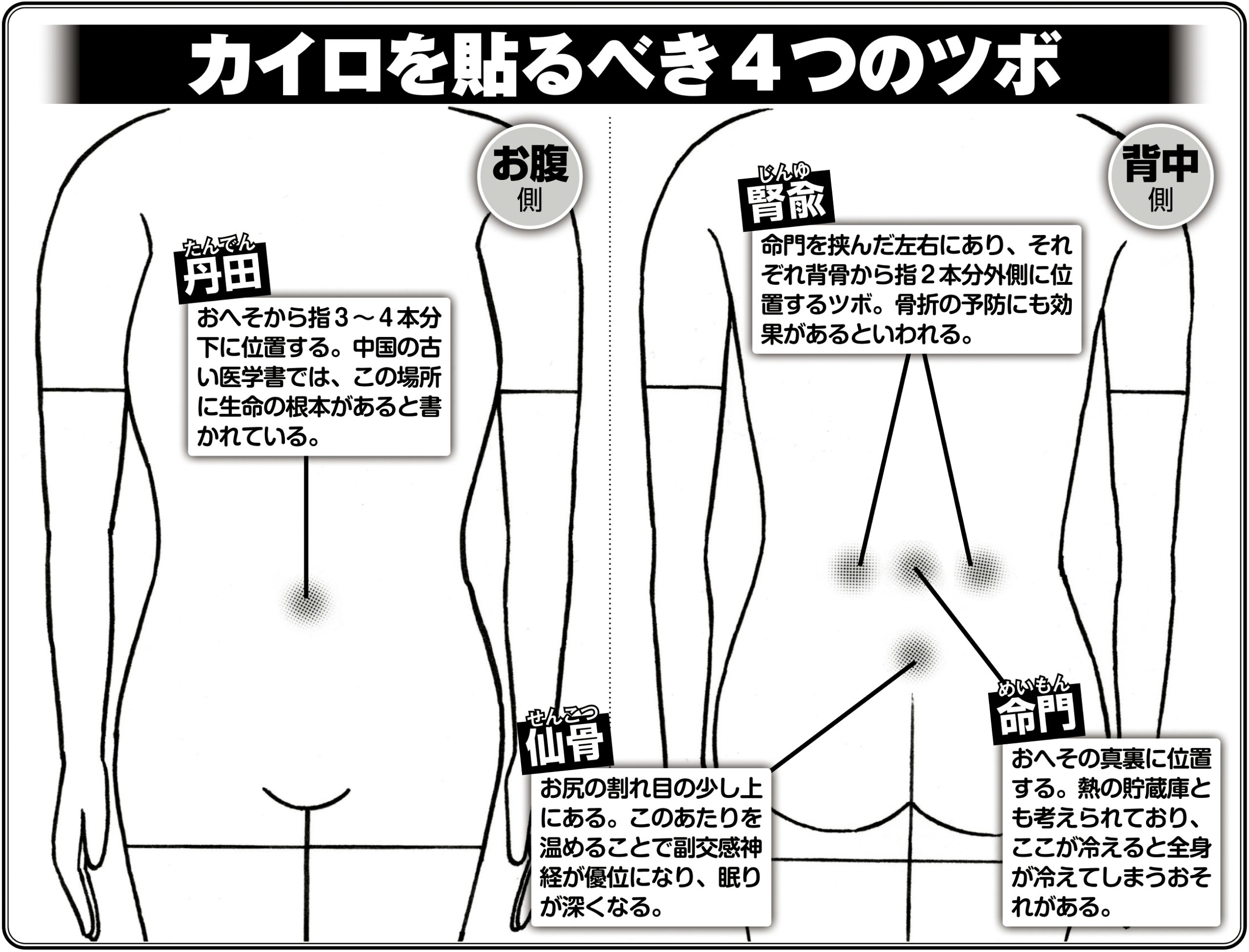 カイロを貼るべき4つのツボ（イラスト／黒木督之）
