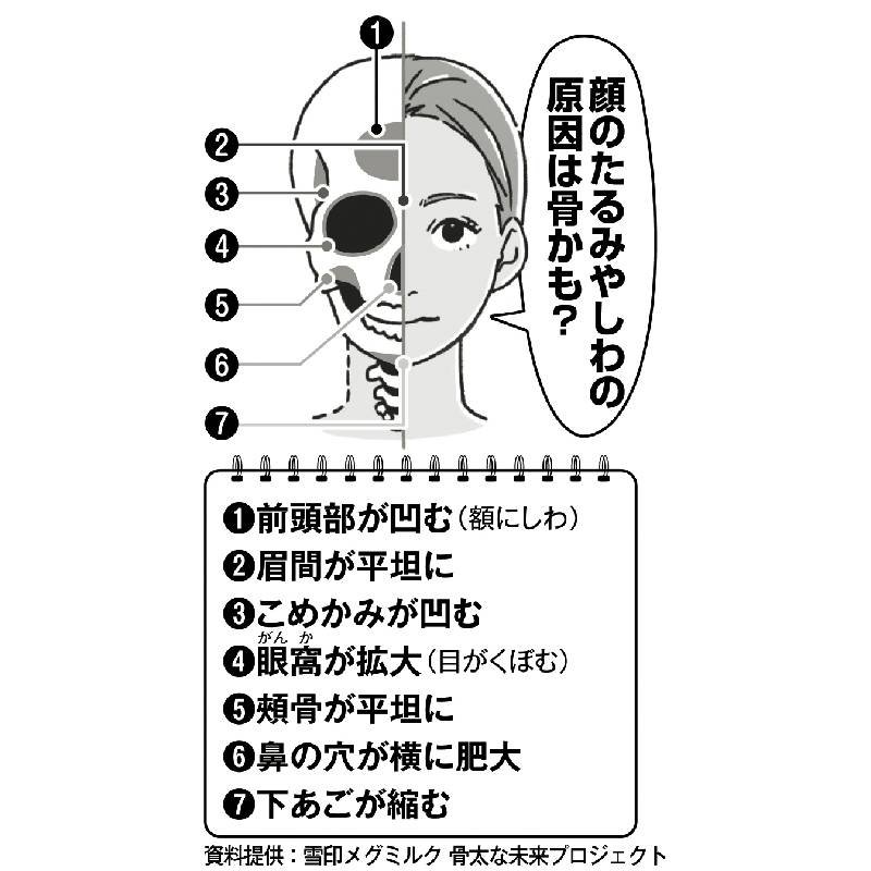 顔のたるみやしわの原因は骨かも？資料提供：雪印メグミルク 骨太な未来プロジェクト