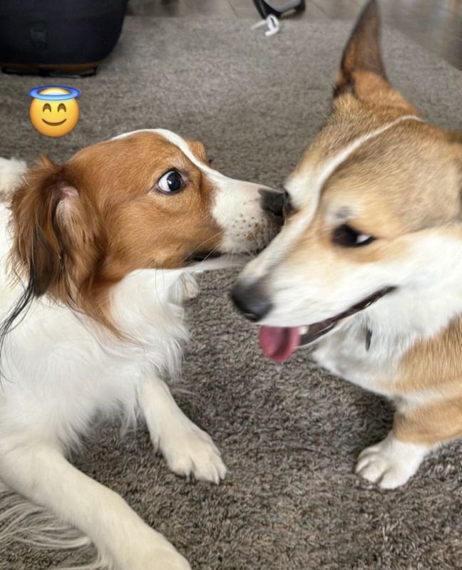 かなり親密な様子。（2026年2月、写真／MLBの公式インスタグラムより）