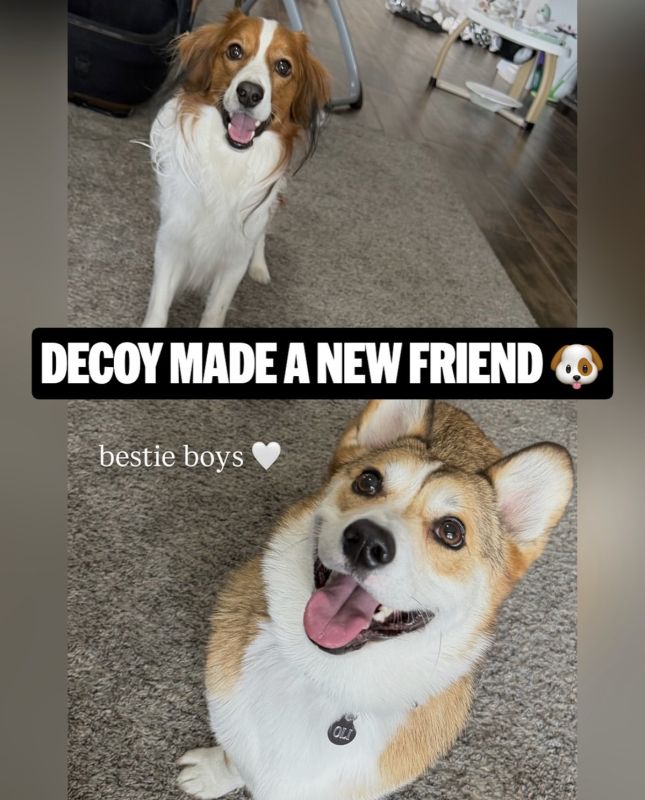 右上に注目。（2026年2月、写真／MLBの公式インスタグラムより）