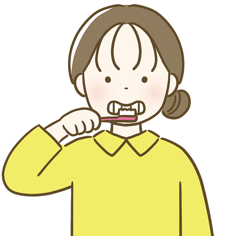 朝起きてすぐ＆就寝直前の歯磨きが◎（イラスト／成瀬 瞳）