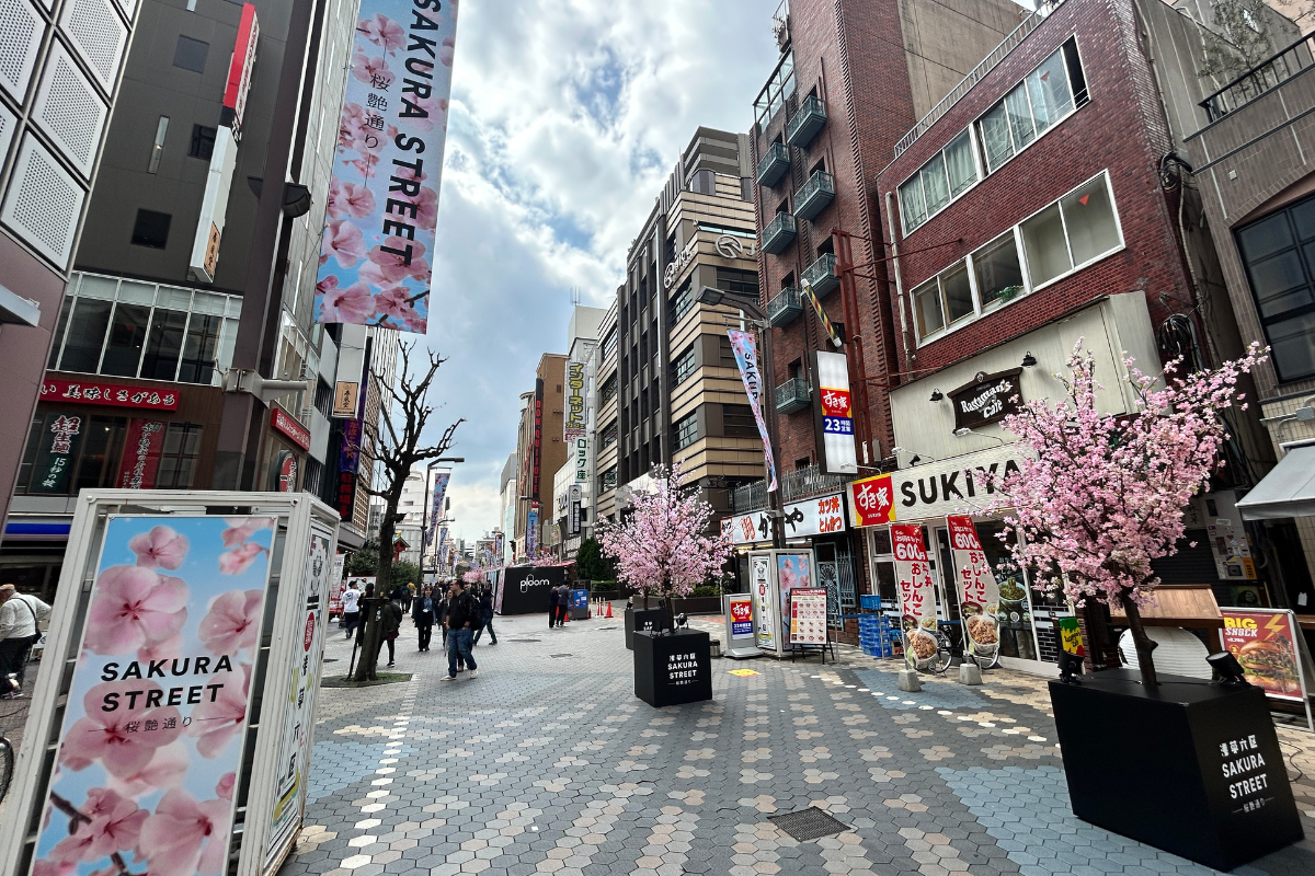 浅草六区 SAKURA STREET -桜艶通り-のようす