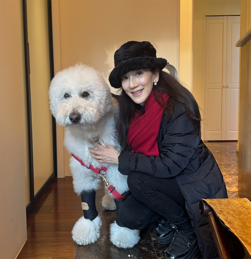 女優・歌手として活躍する、さやかと愛犬のテディくん（インスタグラムより）