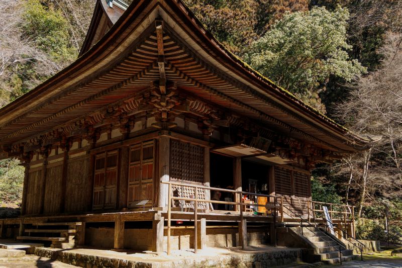 国宝「本堂」。入母屋造のダイナミックな建築にうっとり。特に屋根が重厚で美しい。