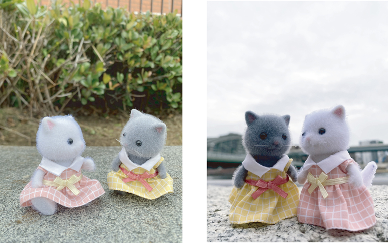 タカシさんがスマホで撮影した写真。ライラとスカイのカットは、ふたりのおしゃべりが聞こえてきそう！