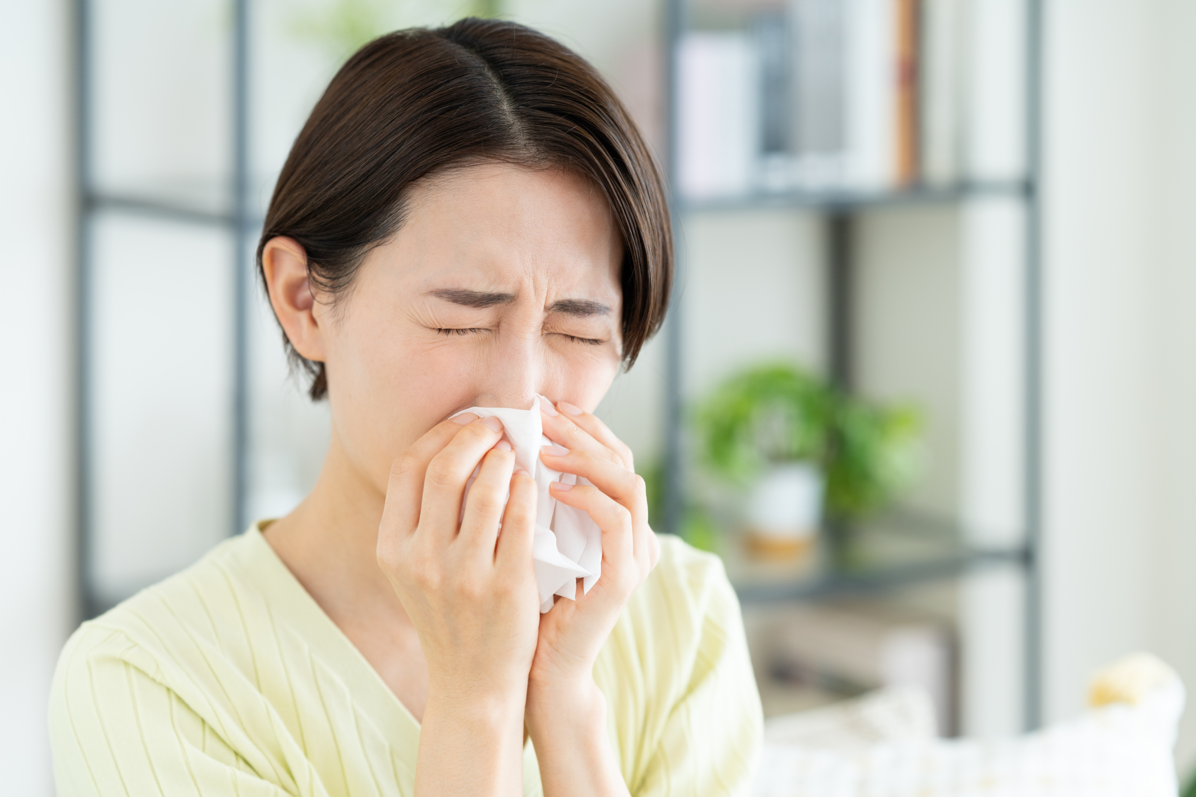 花粉症やアレルギーに関する研究は日進月歩。常に最新情報を取り入れ、より適した方法で対策を（写真／イメージマート）