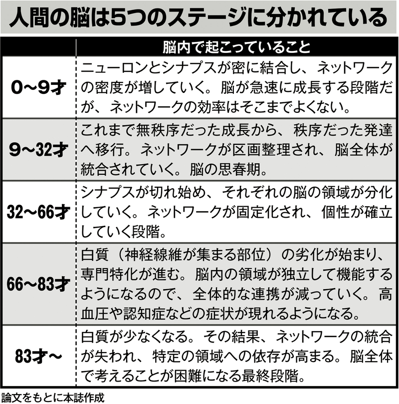 人間の脳は5つのステージに分かれている