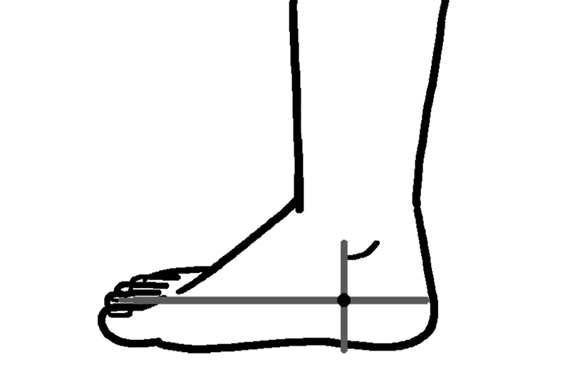 足の人差し指（第2趾）からかかと、内くるぶしの前側から足裏に引いた線が交差する点が正しい重心