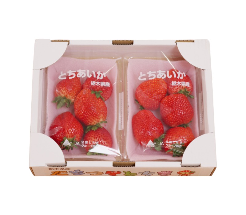 苺とちあいか（約280g×2パック）栃木県産
