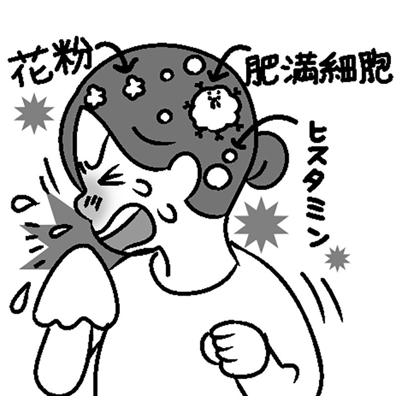 くしゃみなどで花粉を体外に出そうとする（イラスト／藤井昌子）
