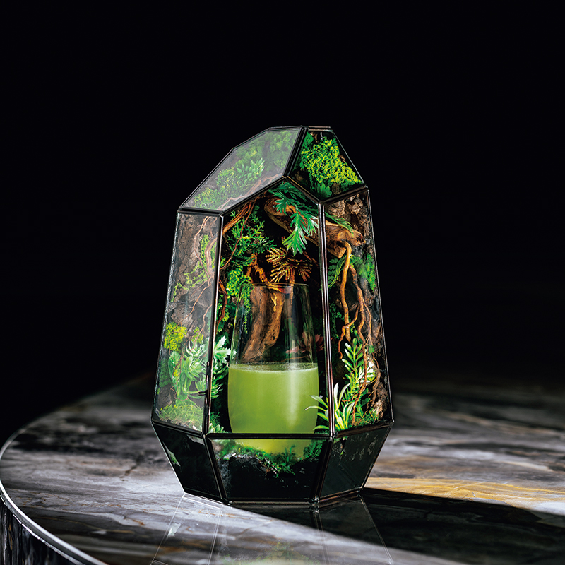 森をイメージしたカクテル「テラリウム」（2万8000W）