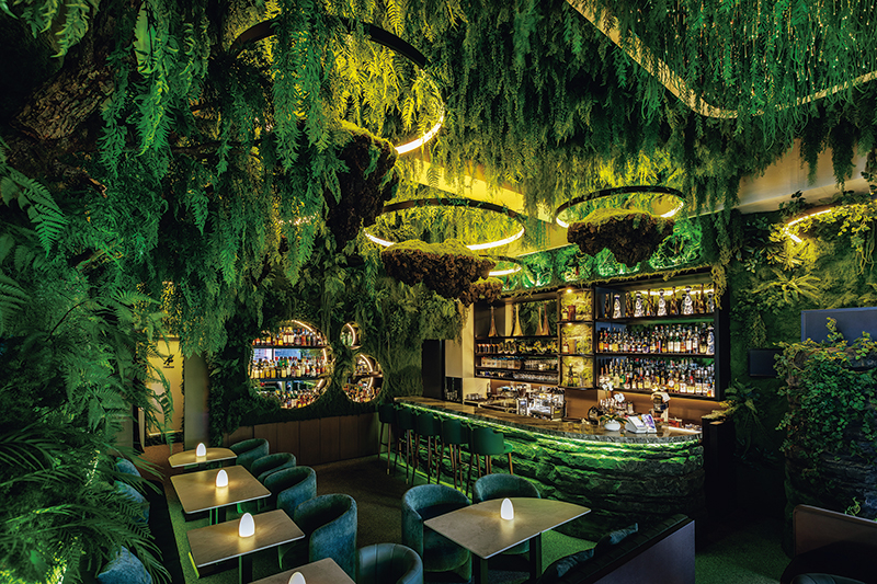 天井から植物が生い茂る神秘的な雰囲気の店内。シーシャも楽しめる