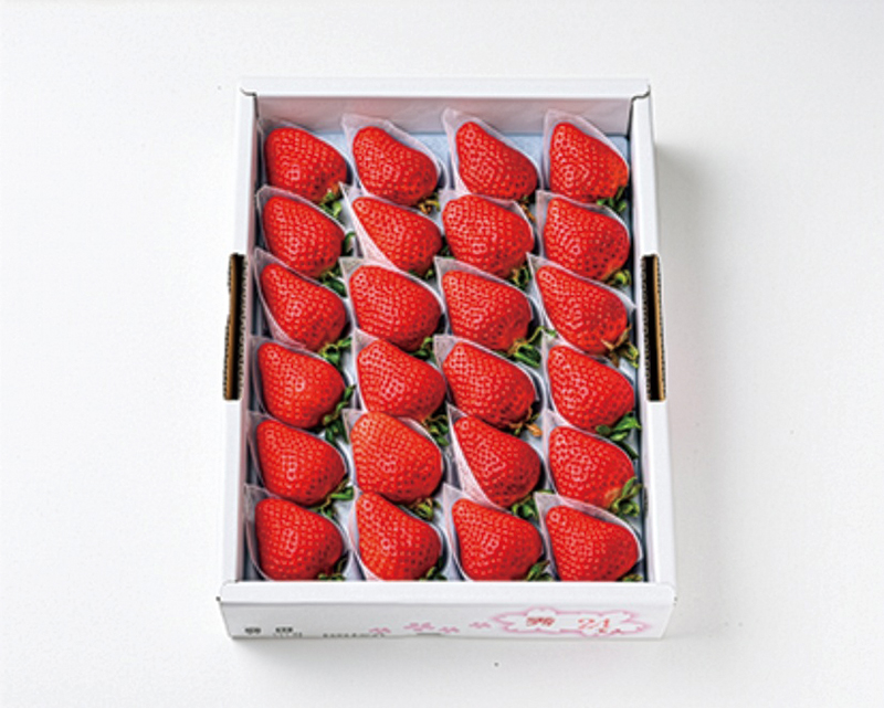 「豊洲市場ドットコム」さくらももいちご（撮影／田中宏幸）