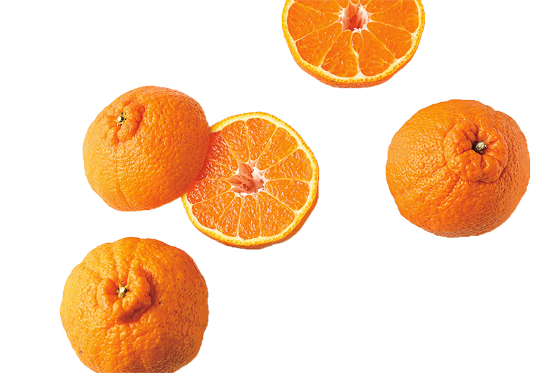 「すぎもと農園」不知火（撮影／田中宏幸）