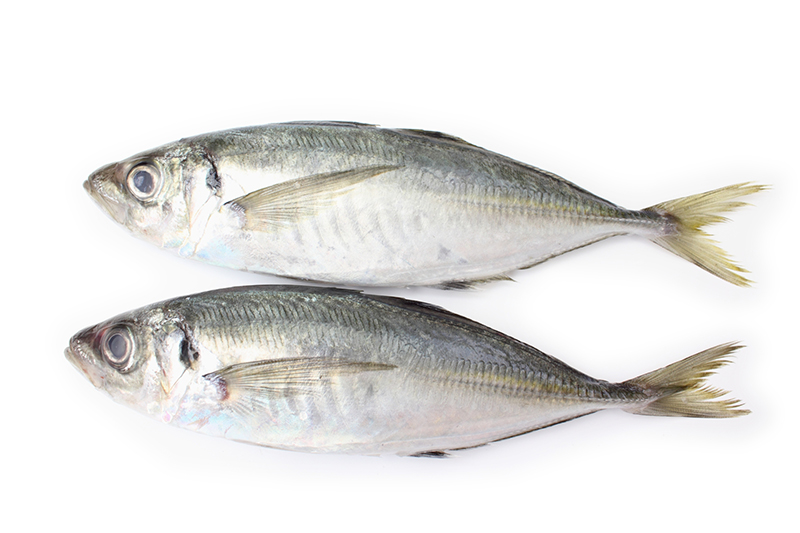 3位に登場したのは「青魚」（写真／PIXTA）