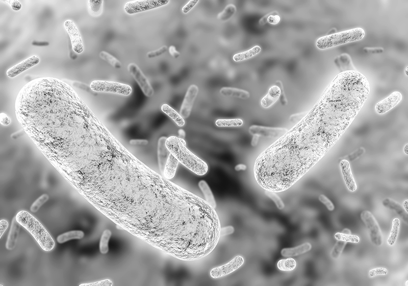 腸内で菌をバランスよく保つことが“老けない腸”を作る基本（写真／PIXTA）