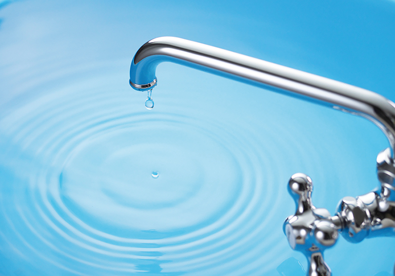 『マインドフルネス』ならぬ“マインドフロネス”を実践（写真／PIXTA）