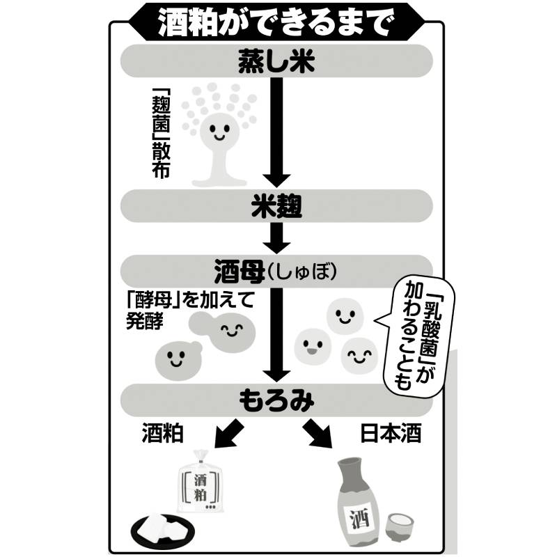 酒粕ができるまで