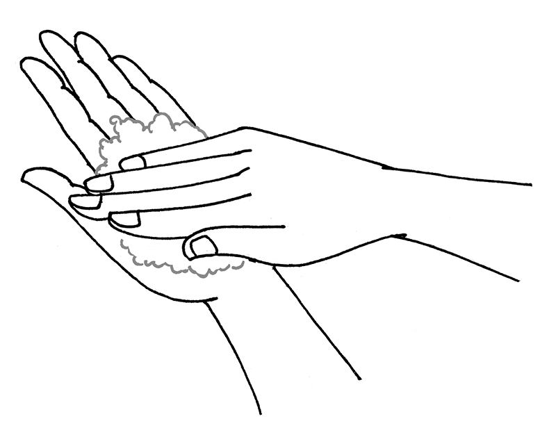 シャンプー剤は手のひらで泡立てて（イラスト／雨月衣）