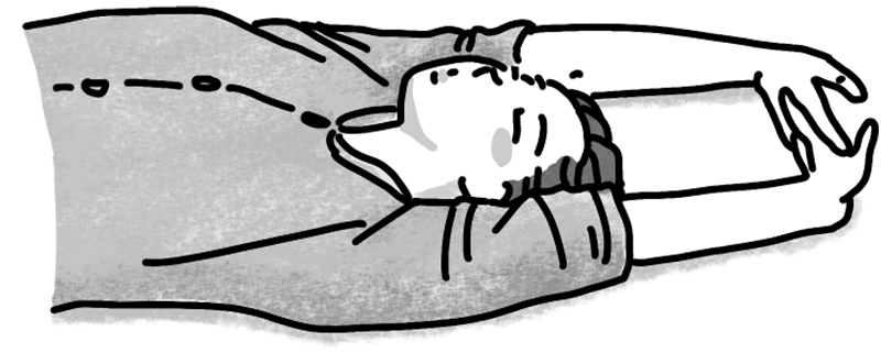 「右、左」と声を出しながら左右に顔を倒し、首の横にある筋肉を伸ばす（イラスト／鈴木みゆき）