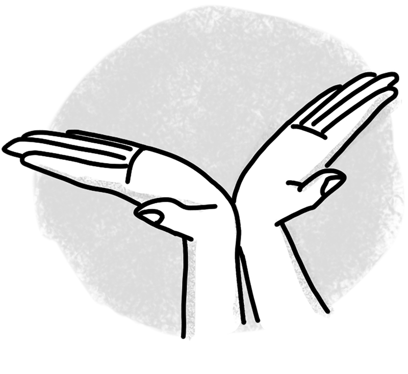 手のひらの底を合わせたままパーッと両手を開く（イラスト／鈴木みゆき）